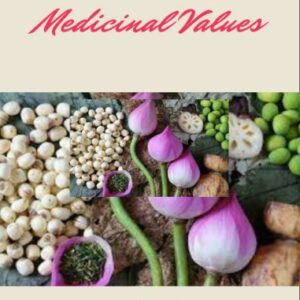 Indian Lotus & Its Medicinal Values