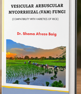 VESICULAR ARBUSCULAR MYCORRHIZAL (VAM) FUNGI  (COMPATIBILITY WITH VARIETIES OF RICE)